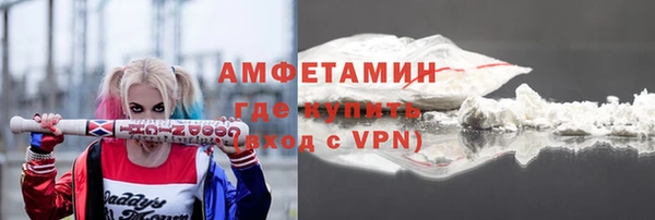 шишки Вяземский