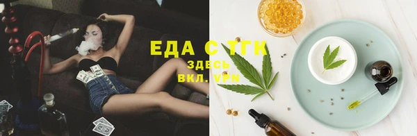 стафф Вязьма