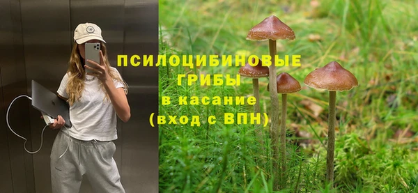 шишки Вяземский