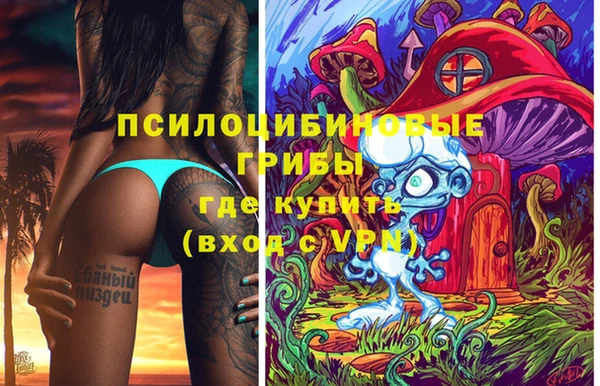 шишки Вяземский