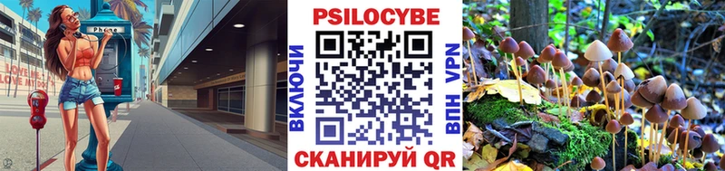 Псилоцибиновые грибы Cubensis  Купить где  Коммунар 