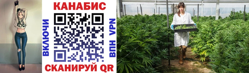 Канабис OG Kush  Купить где  Коммунар 